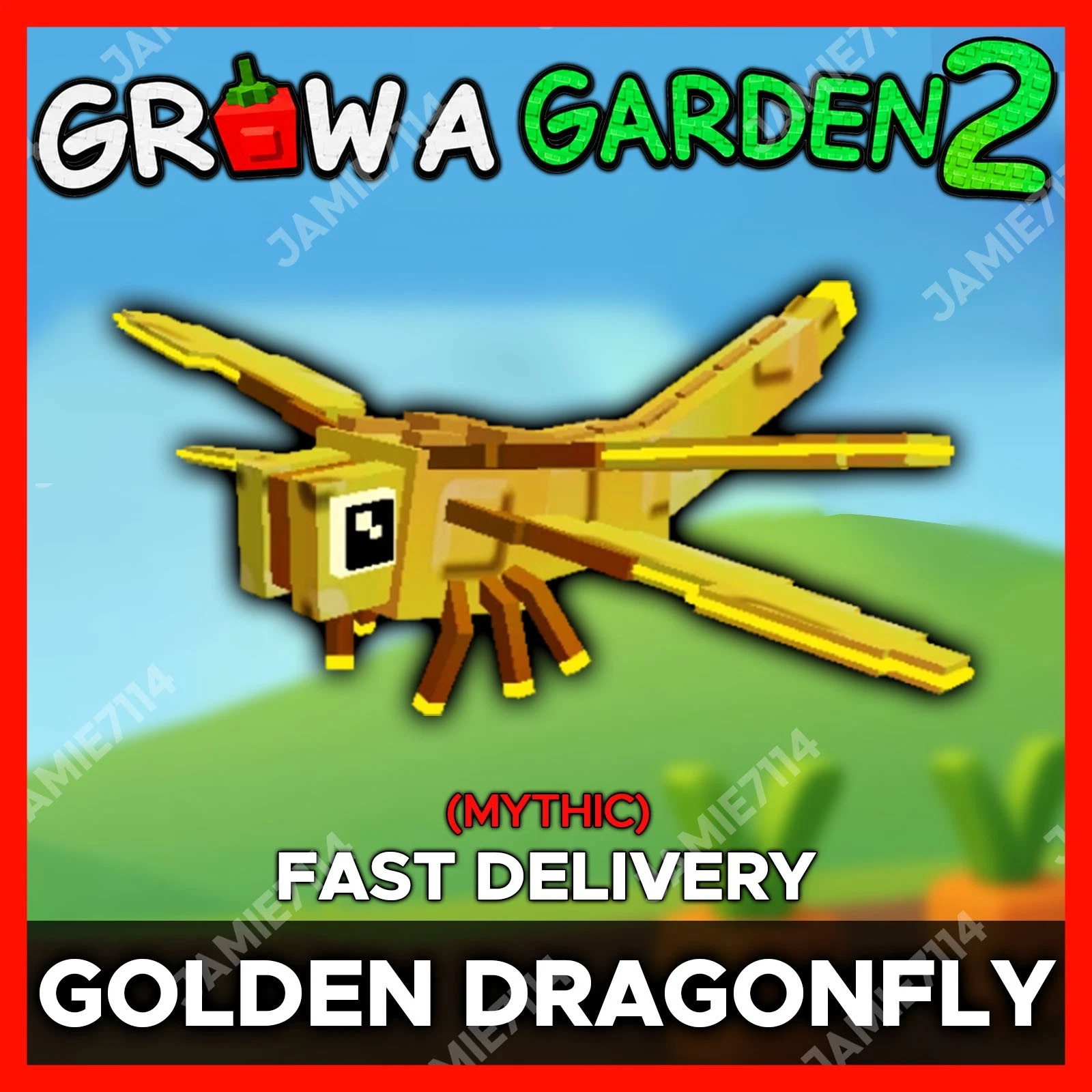 Golden Dragonfly